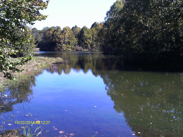 Nice Pond
